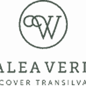 logo-footer